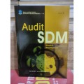 Audit SDM