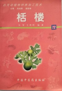 Image of MANDARIN B0009995