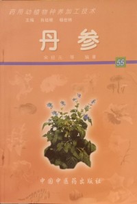 Image of MANDARIN B0010288