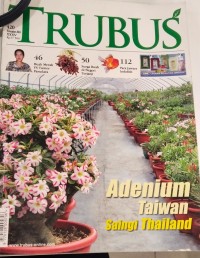 Image of TRUBUS : ADENIUM TAIWAN SAINGI THAILAND