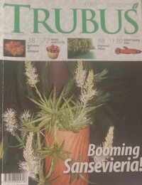 Image of TRUBUS : BOOMING SANSEVIERIA!