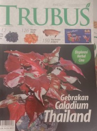 Image of TRUBUS : GEBRAKAN CALADIUM THAILAND